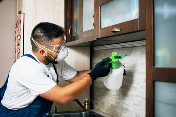 Best Pest Control Near Me  in Middlefield, OH