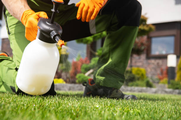 Best Affordable Pest Control Services  in Middlefield, OH