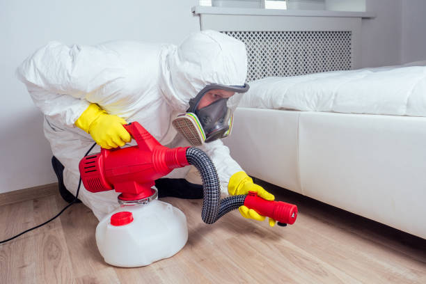 Best Ant Control Services  in Middlefield, OH