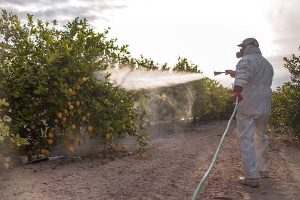 Best Emergency Pest Control  in Middlefield, OH