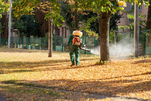 Best Termite Control Services  in Middlefield, OH