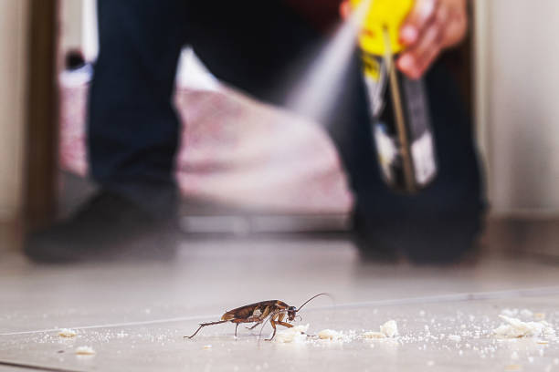 Best Local Pest Control Services  in Middlefield, OH