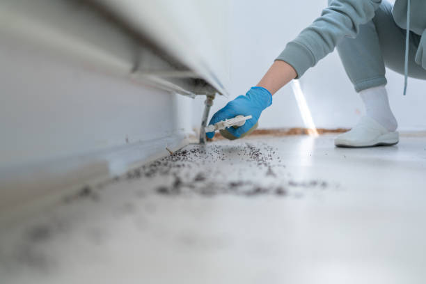 Best Pest Prevention Services  in Middlefield, OH