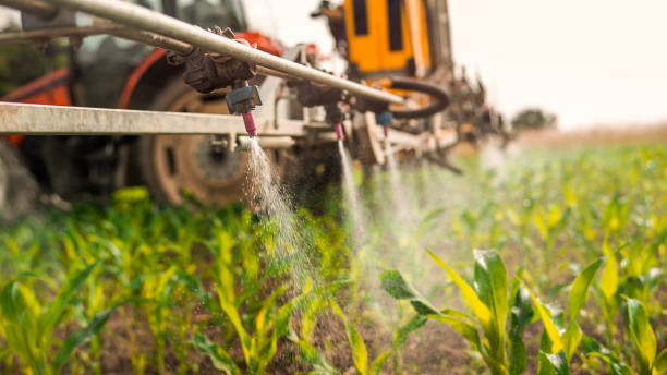 Best Ant Control Services  in Middlefield, OH